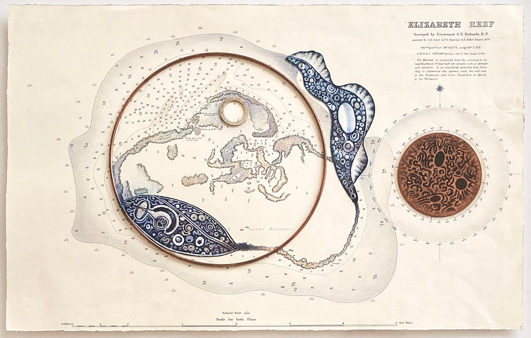 Elizabeth Reef
