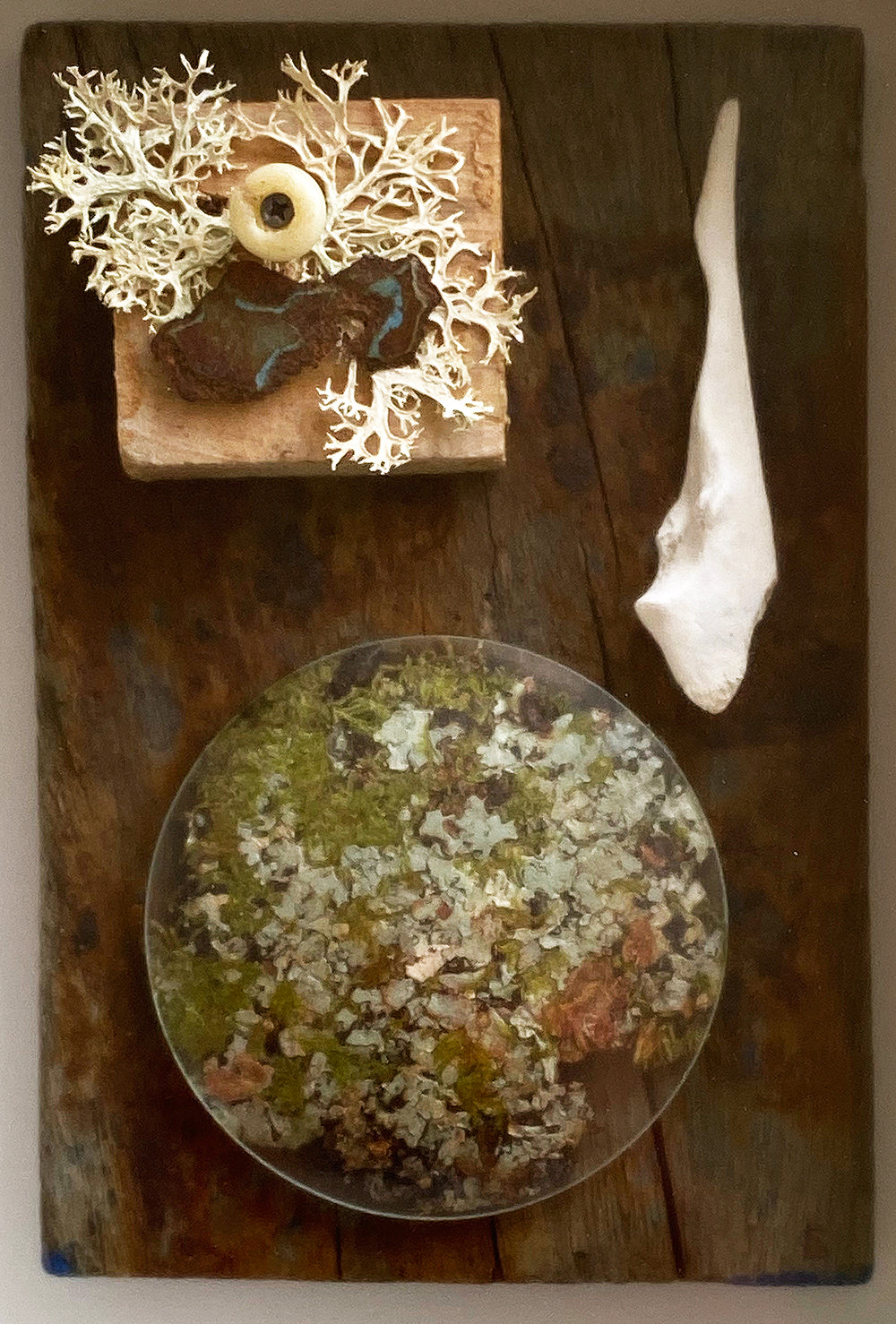 Moss Memories