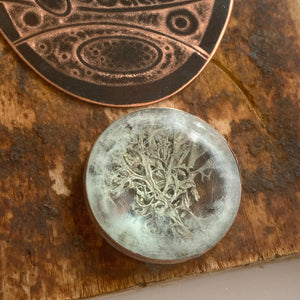 Relics