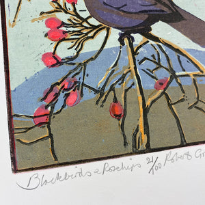 Blackbirds & Rosehips