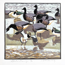 Load image into Gallery viewer, Brents &amp; Lapwings
