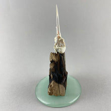 Load image into Gallery viewer, Burnt Offering!
