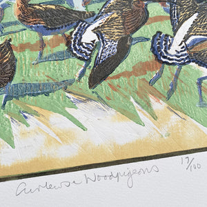 Curlews & Woodpigeons
