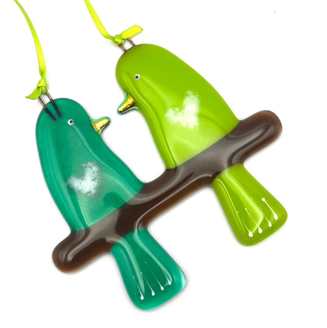 Love Birds in Gift Box - Various Colours