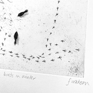Feeding Birds in Winter