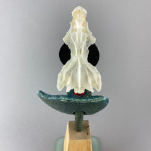 Load image into Gallery viewer, Fish Head and Float

