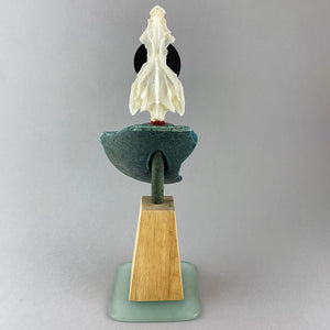 Fish Head and Float