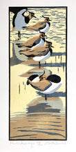 Load image into Gallery viewer, Five Lapwings
