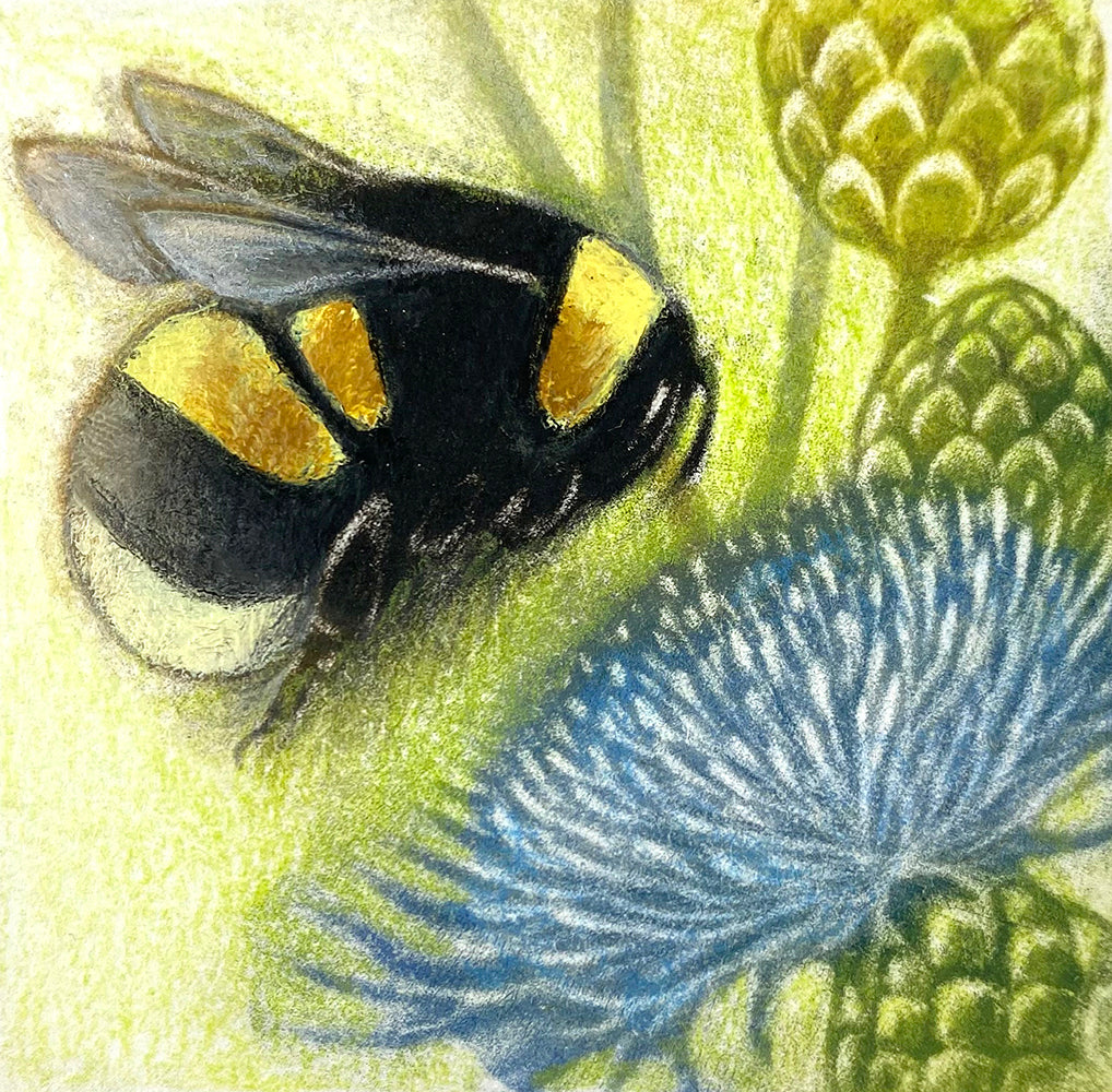 Foraging Bumblebee