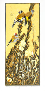 Goldfinches & Evening Primroses