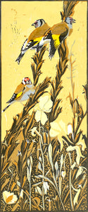 Goldfinches & Evening Primroses