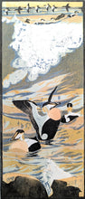 Load image into Gallery viewer, Eiders

