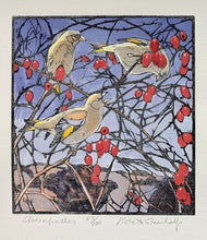 Load image into Gallery viewer, Greenfinches
