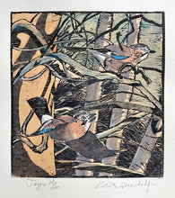 Load image into Gallery viewer, Jays
