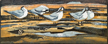 Load image into Gallery viewer, Sandwich Terns
