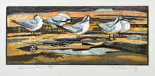 Load image into Gallery viewer, Sandwich Terns
