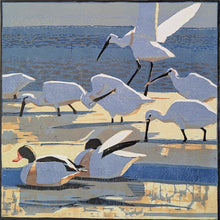 Load image into Gallery viewer, Spoonbills &amp; Shelducks

