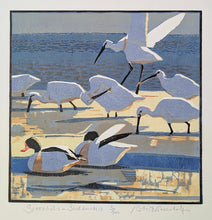 Load image into Gallery viewer, Spoonbills &amp; Shelducks
