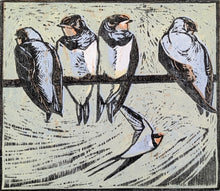 Load image into Gallery viewer, Young Swallows
