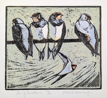 Load image into Gallery viewer, Young Swallows
