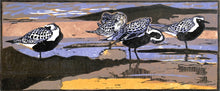 Load image into Gallery viewer, Grey Plovers
