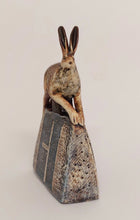 Load image into Gallery viewer, Hawthorn
