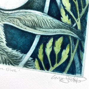 Hare Blue