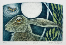 Load image into Gallery viewer, Hare Blue
