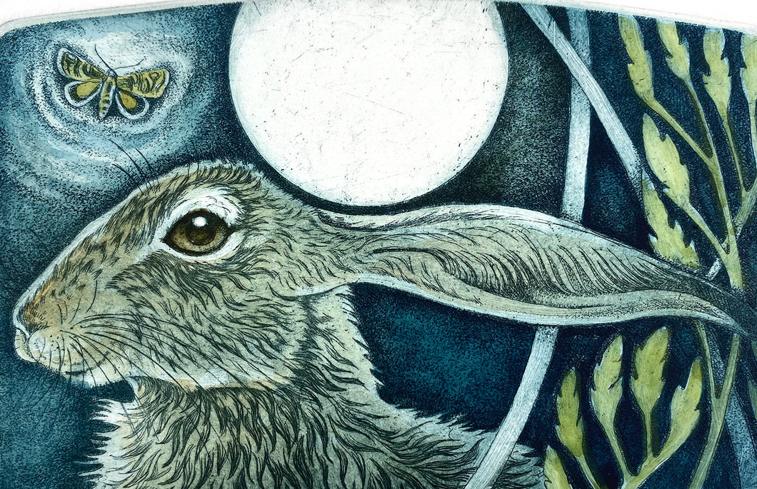 Hare Blue