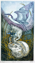Load image into Gallery viewer, Heron Chick
