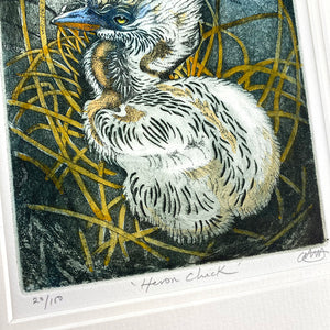 Heron Chick