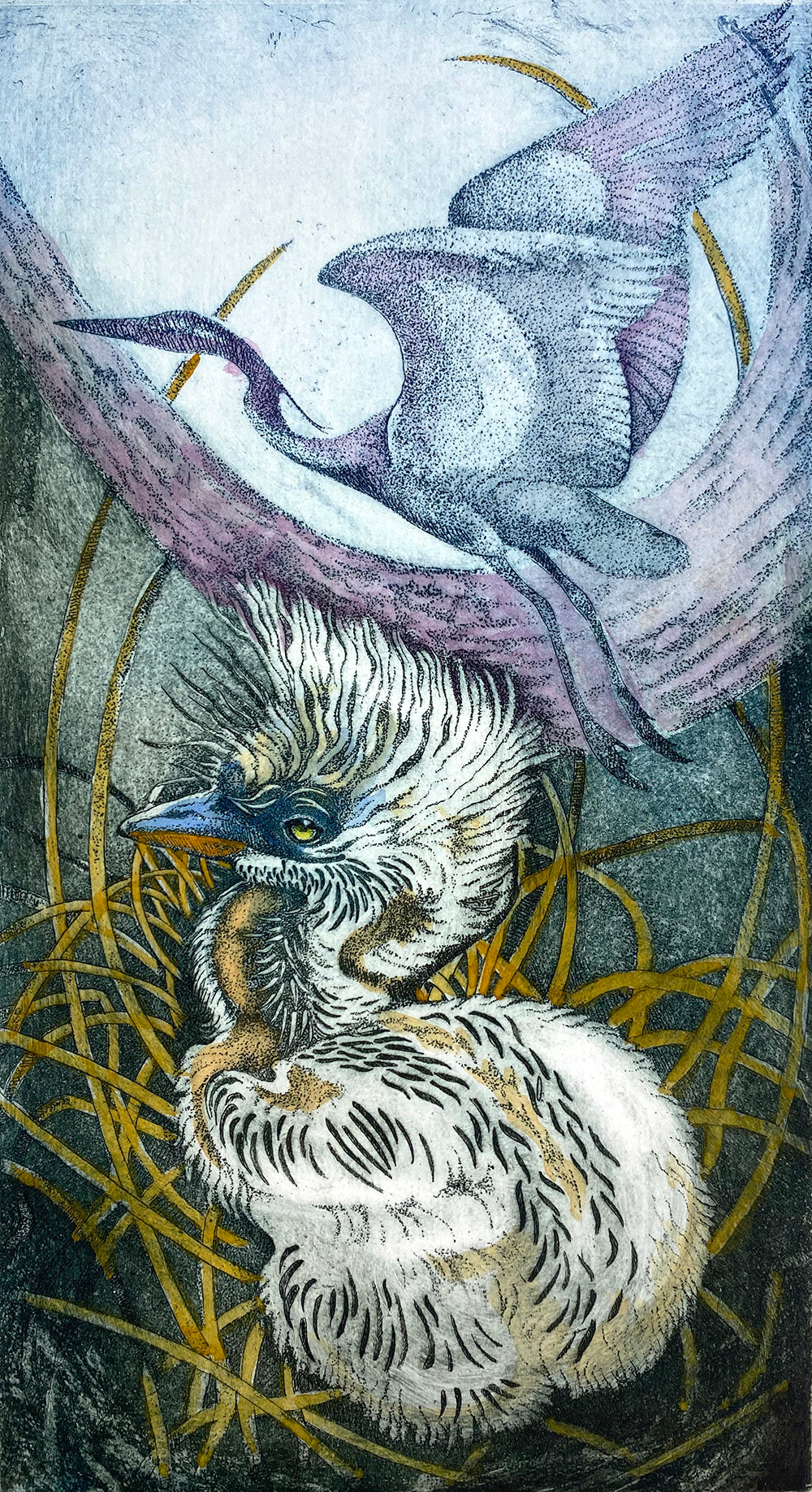 Heron Chick