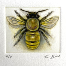 Load image into Gallery viewer, Honeybee
