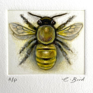 Honeybee