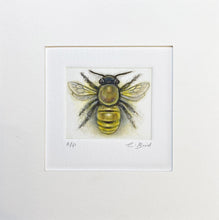 Load image into Gallery viewer, Honeybee
