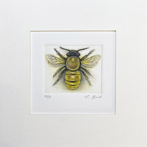 Honeybee