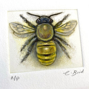 Honeybee