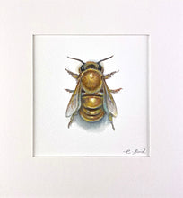 Load image into Gallery viewer, Honeybee Study VII
