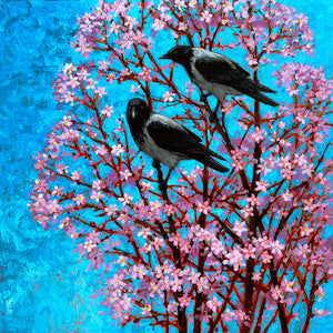 Hooded Crows & Cherry Blossom