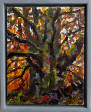 Load image into Gallery viewer, Autumn Beech Tree
