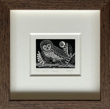 Load image into Gallery viewer, Twit Twoo

