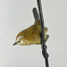 Load image into Gallery viewer, Wren on Poppy
