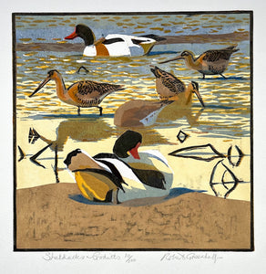 Shelducks & Godwits