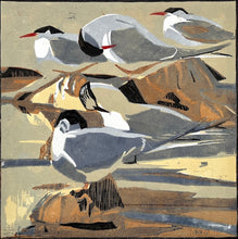 Load image into Gallery viewer, Arctic Terns
