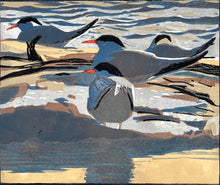 Load image into Gallery viewer, Common Terns
