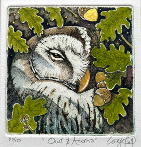 Owl & Acorns