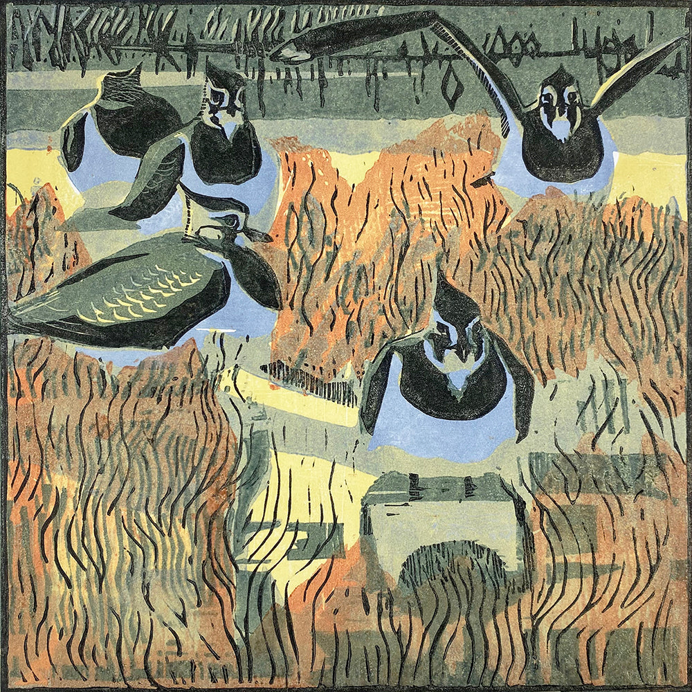 Lapwings & Seablite