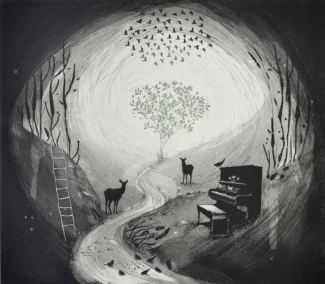 On Leaving Plato's Cave