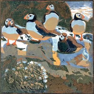 Puffins