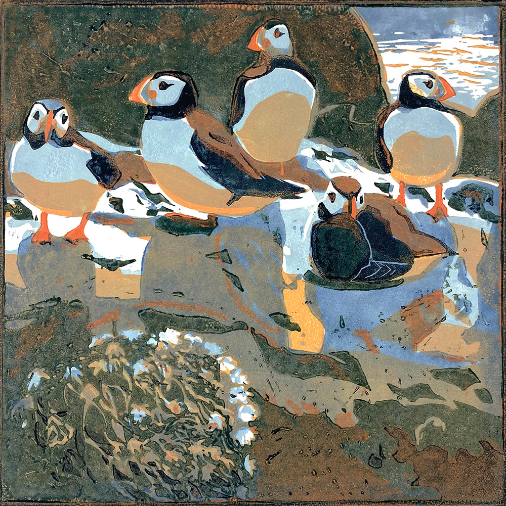 Puffins